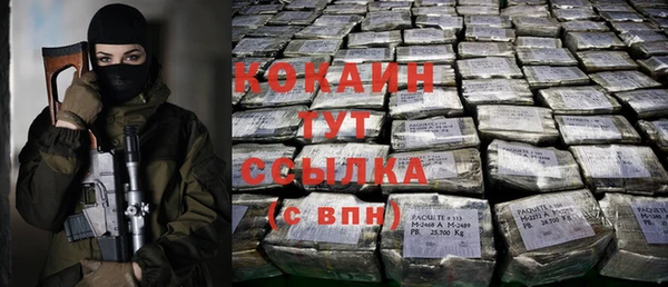 прущие крисы Арсеньев