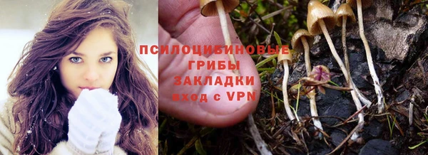 прущая мука Пестово