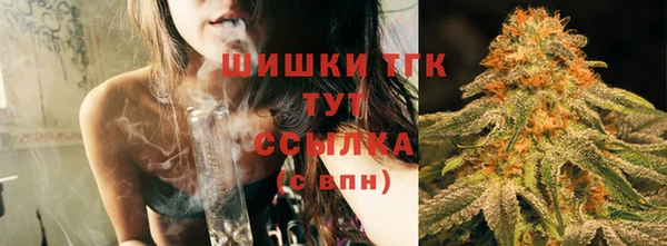 прущие крисы Арсеньев