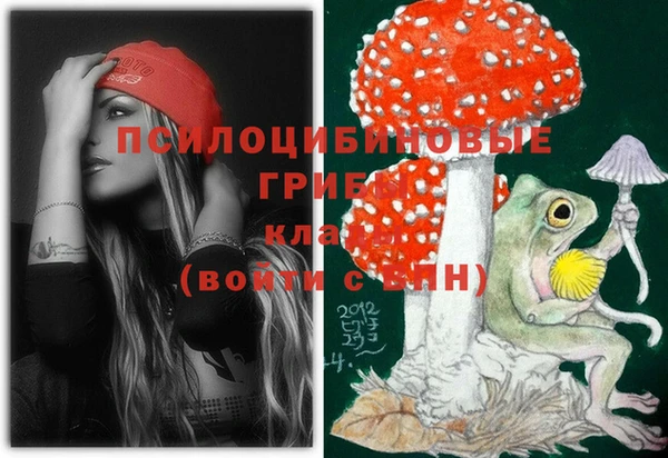 прущие крисы Арсеньев