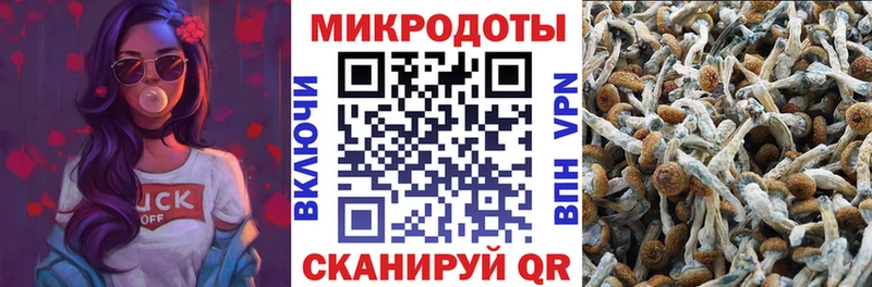Псилоцибиновые грибы мухоморы  купить закладку  blacksprut как войти  Аркадак 